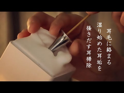 ASMR 【SR3D】湿りたてホヤホヤ耳毛にも絡まる耳垢をゆっくりこまめに掻き出す耳掃除。鼓膜から湿汁を絞り出す感覚のマッサージ Wet earwax ear cleaning bamboo
