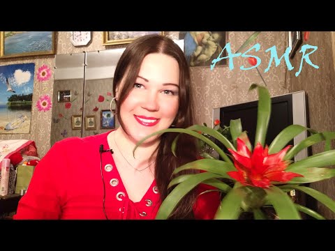 АСМР/ ПАРИКМАХЕРСКАЯ/ С 8 МАРТА 🌹⚘🌷🌺🌼/ ASMR/ WOMENS HAIRDRESSER