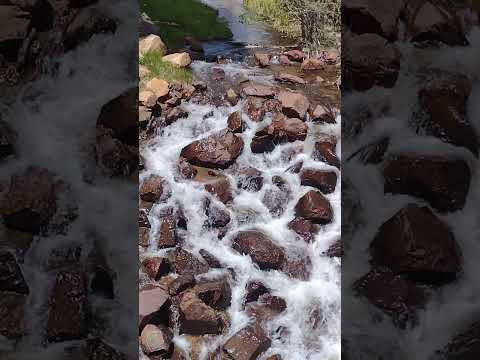 #shortsfeed #adventure #riversounds #water #scenery #watersounds #everyone #subscribe