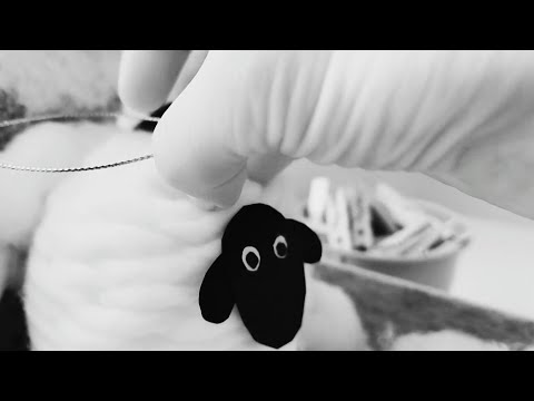 A COMPLETELY RANDOM ASMR