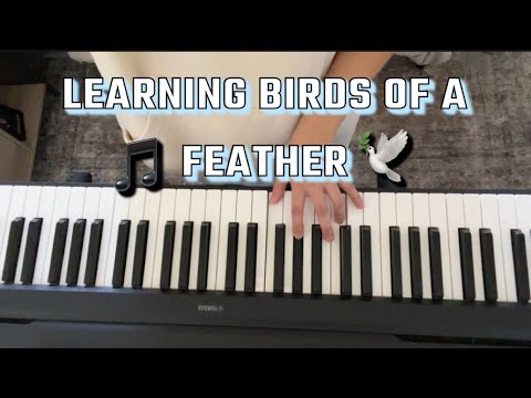 ASMR Learning Birds of a Feather 🕊🎶 by Billie Eilish (Part 3)