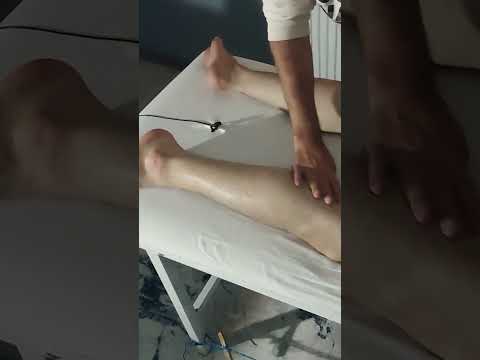 ENERGIZING RELAXATION THERAPY FOR HIND LEGS AND FEET #satisfying #relaxing #asmr #shorts #massage