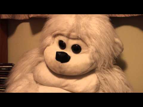 [ASMR] Fuzzy Blue Windscreen & White Gorilla