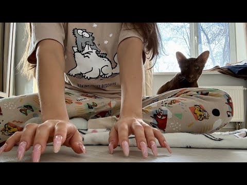 ASMR FLOOR SCURRYING *lofi asmr, tapping & scratching, fast & aggressive* paid my cats for acting