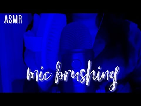 ASMR Mic Brushing with Dry Body Brush (No Talking) (Slow & Fast)