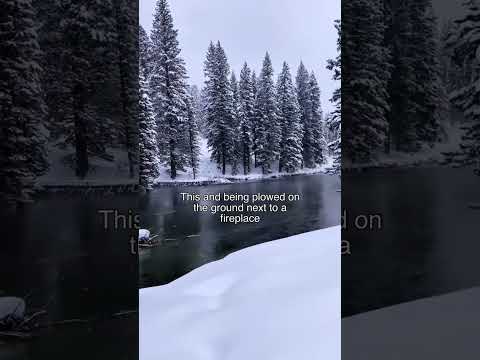 Winter vibes