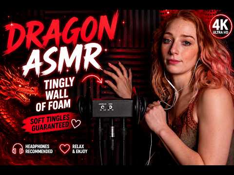 Dragon ASMR 😮‍💨 Tingly Wall of Foam Sounds for Deep Relaxation (4K ASMR)