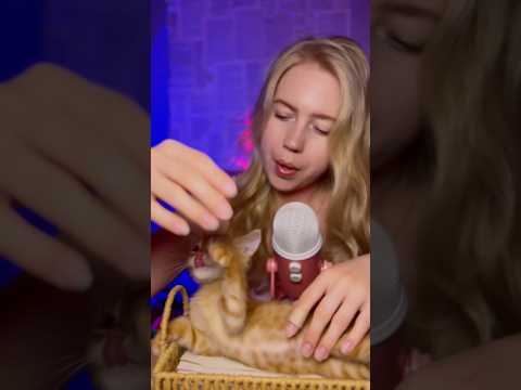 ASMR #asmr
