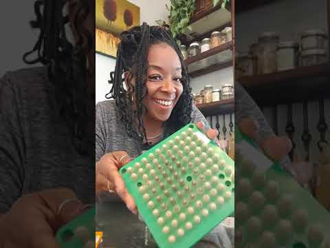 Opening the container to put my herbal 💊 capsules in.........