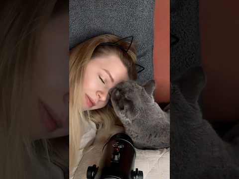 Кошка мурчит 😴 ASMR для сна 🐱🐾 сегодня на канале! 🤍