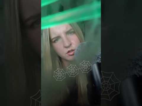 POV YOURE STUCK IN A SPIDERWEB *asmr* #asmr #spiderweb #asmrtriggers