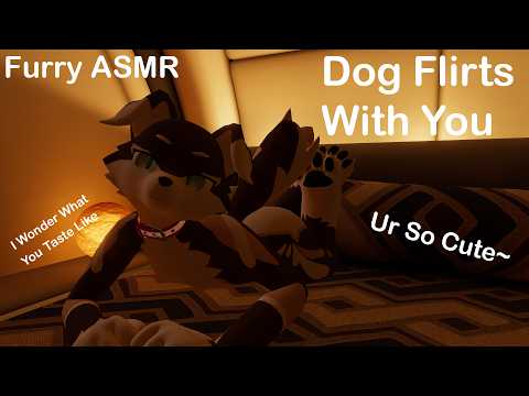 [Furry ASMR] Dog Flirts With You~