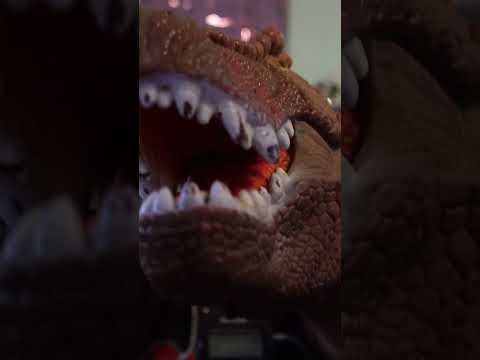 ASMR Dino