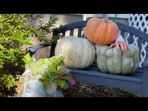 ASMR! Halloween Decorations 2021!🎃💀👻