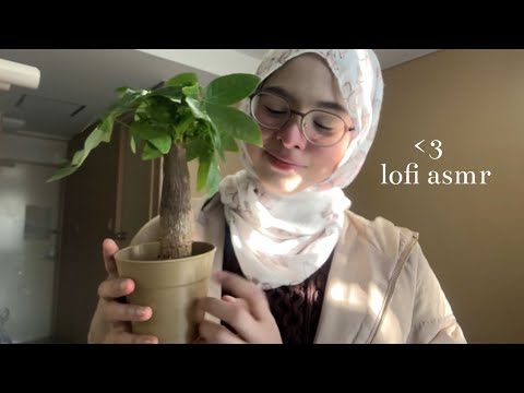 lofi ASMR | come chill with me in the morning 🤍