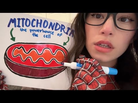 spiderman tries to give you a biology lesson (asmr)