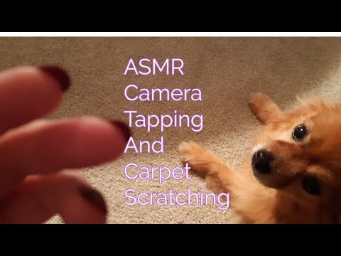 ASMR Camera Tapping And Carpet Scratching (No Talking)Lo-fi