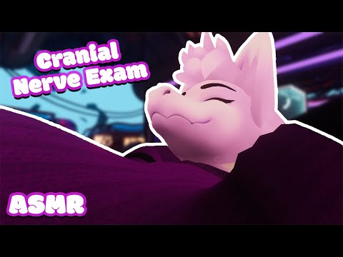 [Furry ASMR] Relaxing Cranial Nerve Exam (Roleplay)