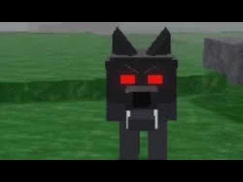 alpha wolves chasing me because i am the real ALPHA!!!! 🐺