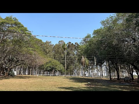 ASMR MINI VLOG NA FAZENDA
