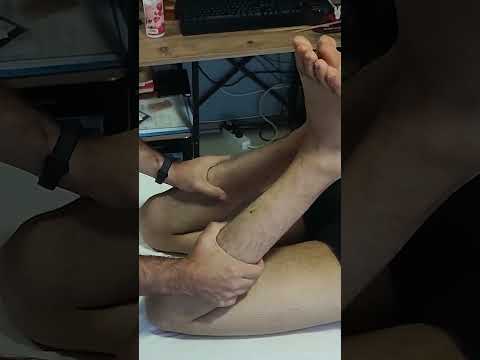 RELAXING MANIPULATION TECHNIQUES FOR HIND LEGS #satisfying #relaxing #asmr #shorts #massage