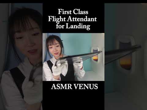 ASMR Shorts First Class Flight Attendant Preparing for LandingㅣMorning Facial Skincare Treatment✈️
