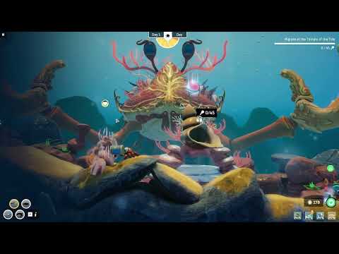 Crab God (1): The cutest little unexpected game | Quiet Hangouts 🌙