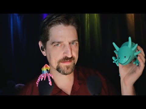 ASMR Comforting Pet Shop Ramble & Triggers 