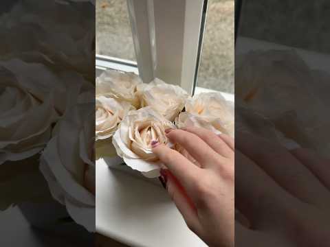 Lofi ASMR #lofiasmr #asmr #tingles #lofi #relax #asmrscratching #mouthwhisper #relaxing #asmrsounds