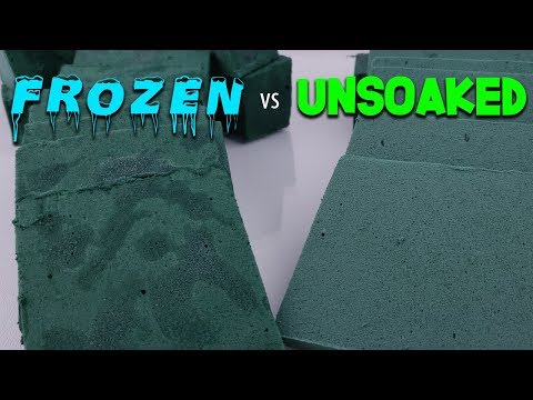 ASMR Frozen Floral Foam vs Unsoaked Floral Foam - Satisfying Floral Foam ASMR