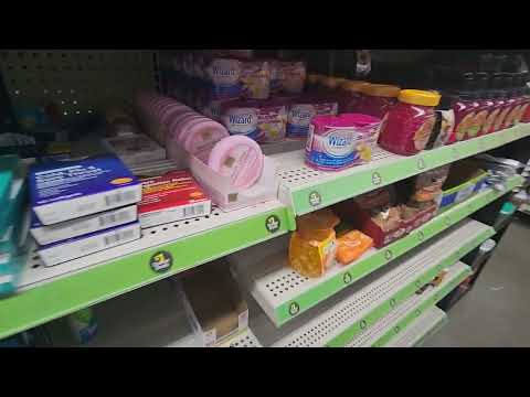 Dollar General "Dollar Days" Shelf Organization | March 2024