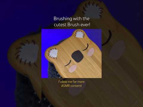 Brushing with the cutest Brush ever! 🐨 (ASMR)