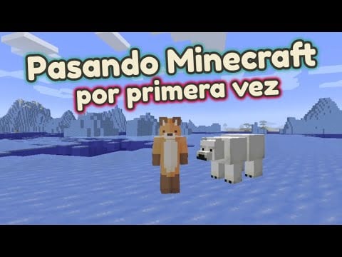 Pasando Minecraft de Chill