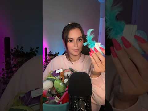 Cat Toy ASMR 🧶