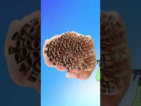 Asmr Smooth Fist Care 👊 #shorts