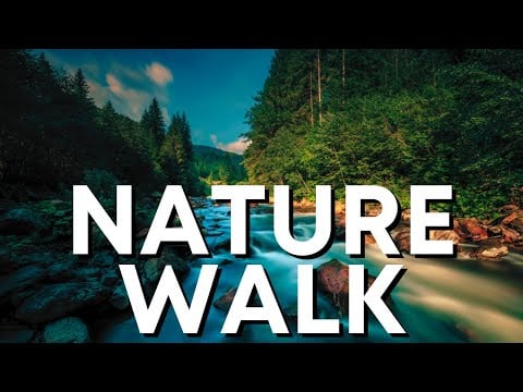ASMR WALKING BY A CREEK - Forest Ambience, Walking, Crunching - Forest & River Ambience