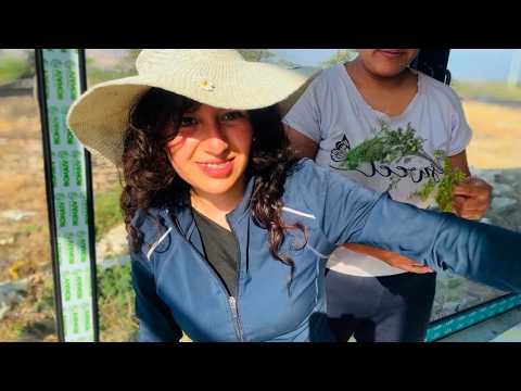 asmr/limpia Caótica al aire libre