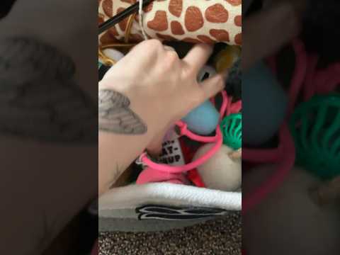 Rummaging Sounds ASMR #asmr #shorts