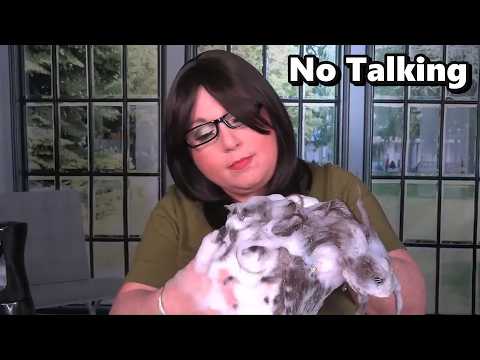 ASMR Hair Salon Roleplay (NO TALKING) (Hair Wash, Shampoo, Conditioner, Scalp Massage, Water Sounds)