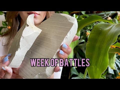 БАТТЛ🥇мокрые Ватутин VS Генерал Ватутин// BATTLE, wet Vatutin VS General Vatutin// ASMR MUKBANG