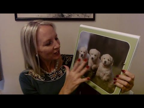 ASMR | MORE Trapper Keepers! Show & Tell w/Tracing (Soft Spoken)