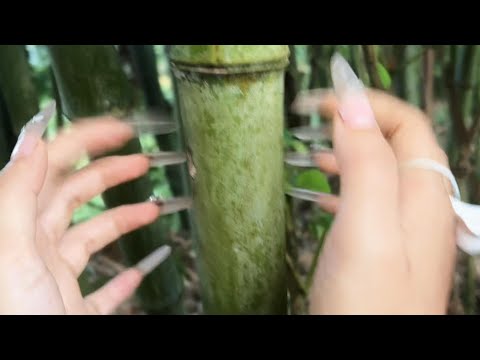 🌙 Random Outdoor Tapping ASMR | Sleep Triggers