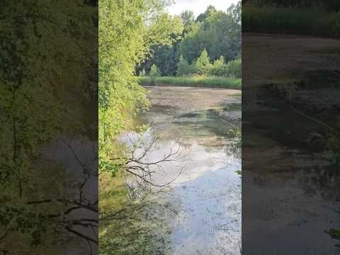 ASMR Traumreise auf dem Wasser #asmr #traumreise