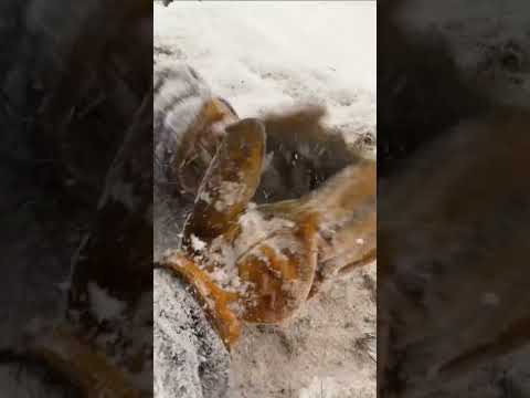 ASMR Snow Massage #asmr