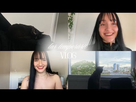 vlog | sendo lar temporário 🐾