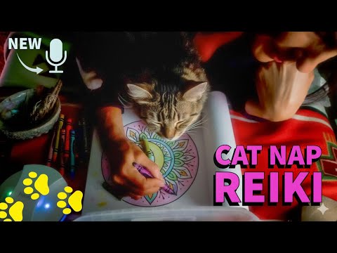 Cat Nap Reiki 🐈 | Soothing ASMR for Daytime Calm & Focus (Coloring & Purrs)