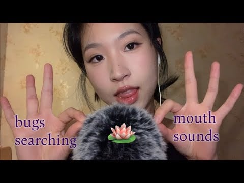 ASMR bugs searching with mouth sounds 