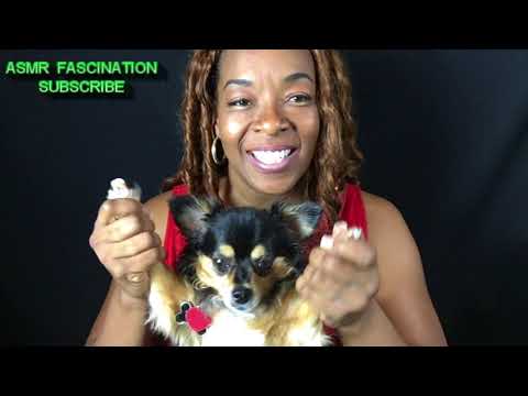 ASMR  SMALL DOG REACTION TO BEING PET- ASMR SOUND, TRIGGER, GENTLE WHISPERING