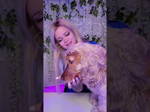 🐶 My Doggie (pt.1)  - Meet Loa #dog #asmr #pets