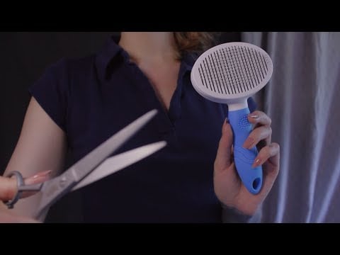 ASMR Dog Grooming Salon 🐾🫐 Fur Washing, Brushing, Trimming (personal attention + layered sounds)